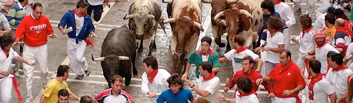 San Ferm&iacute;n