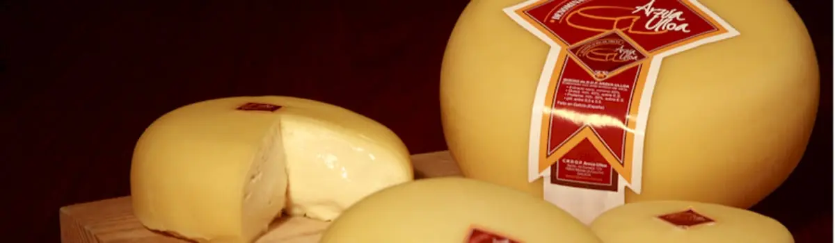 Queso Arz&uacute;a - Ulloa