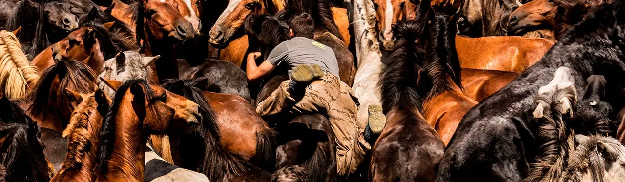D&oacute;nde dormir en Sabucedo