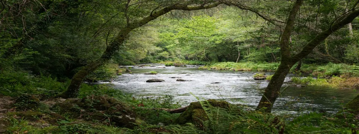 View of the river in Fragas do Eume, Galicia. | Shutterstock