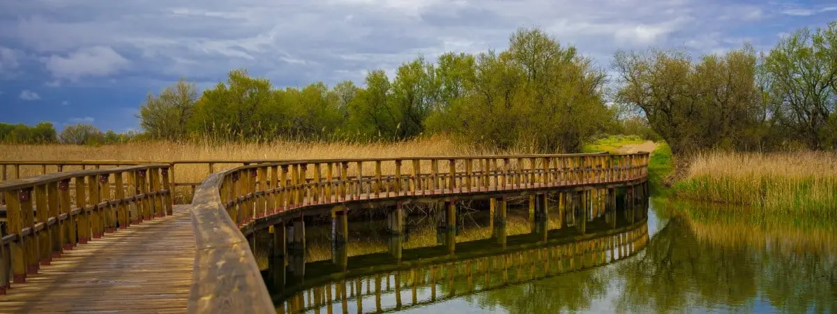 tablas de daimiel