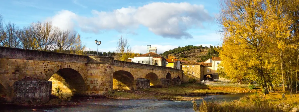 Palencia