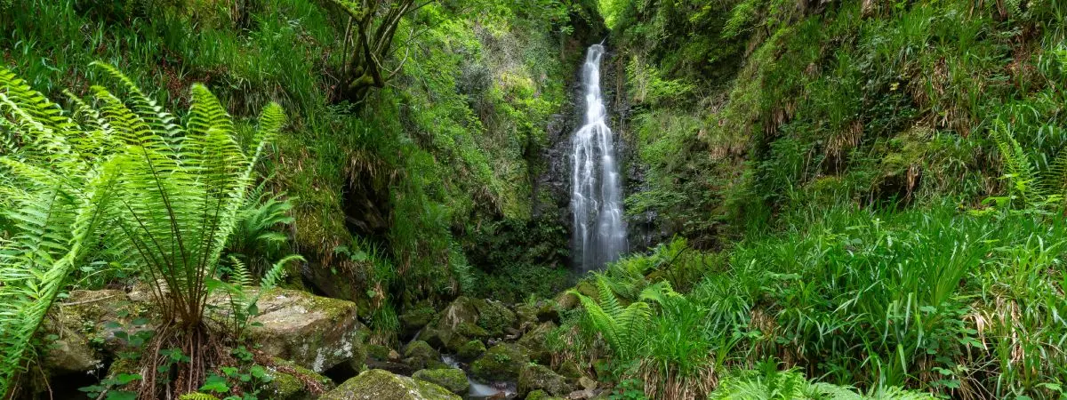 Belaustegui waterfall 
