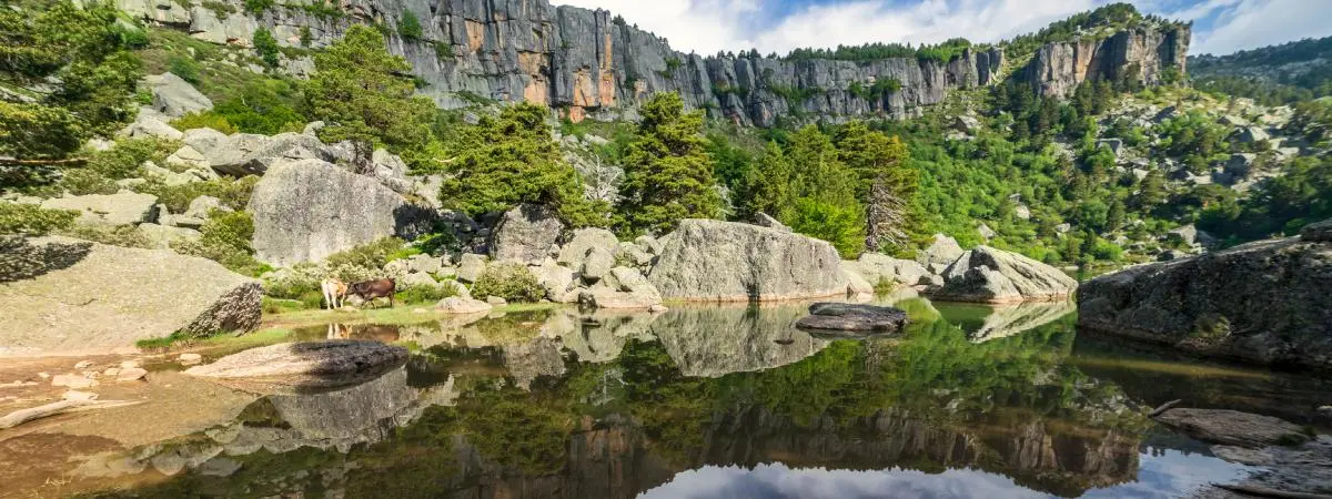 laguna negra