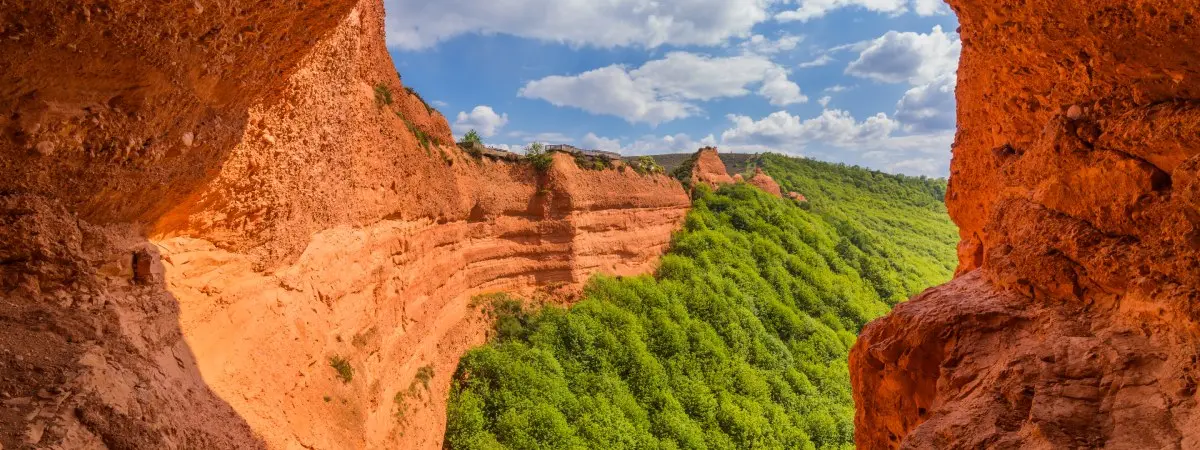 las m&eacute;dulas