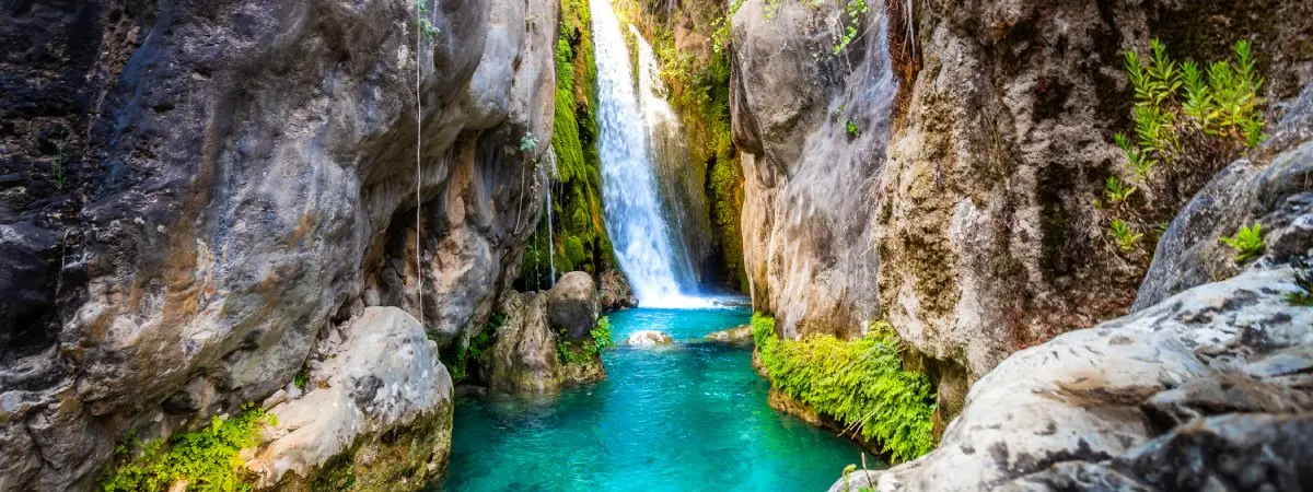 algar