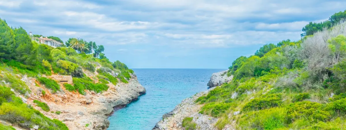 cove murta