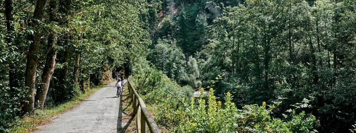 Bear Path