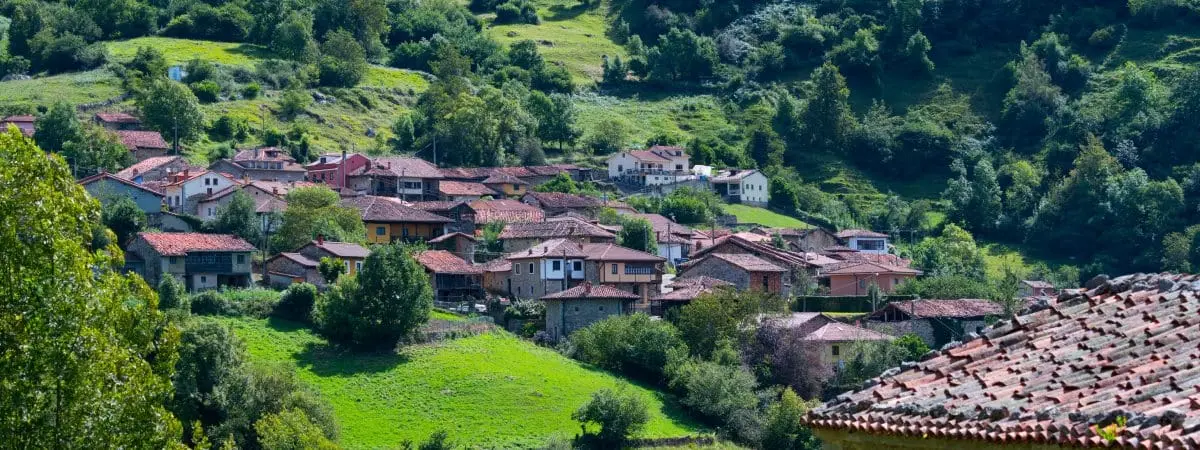 bermiego