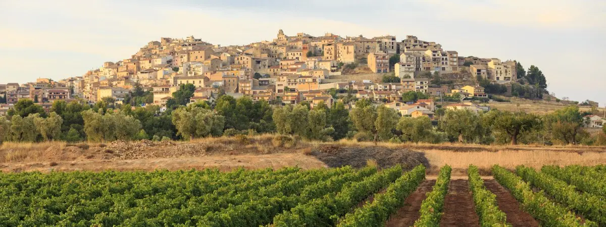 horta de sant joan