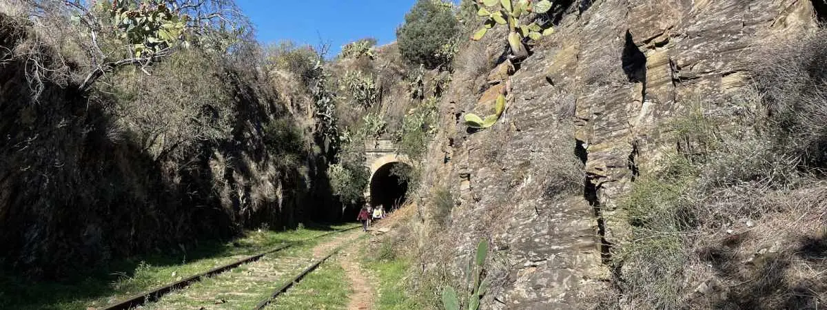 camino de hierro