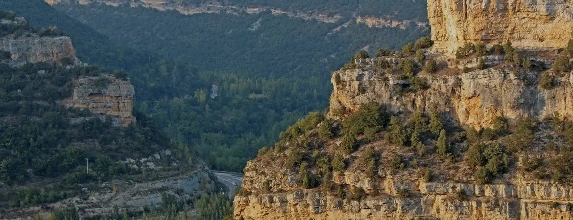 dream road