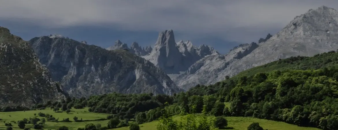naranjo de bulnes