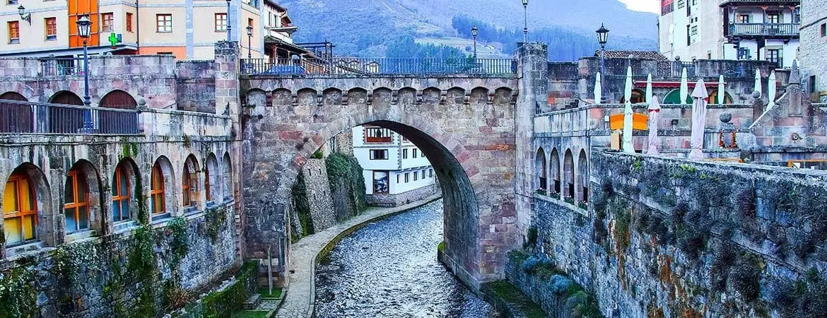 winter potes