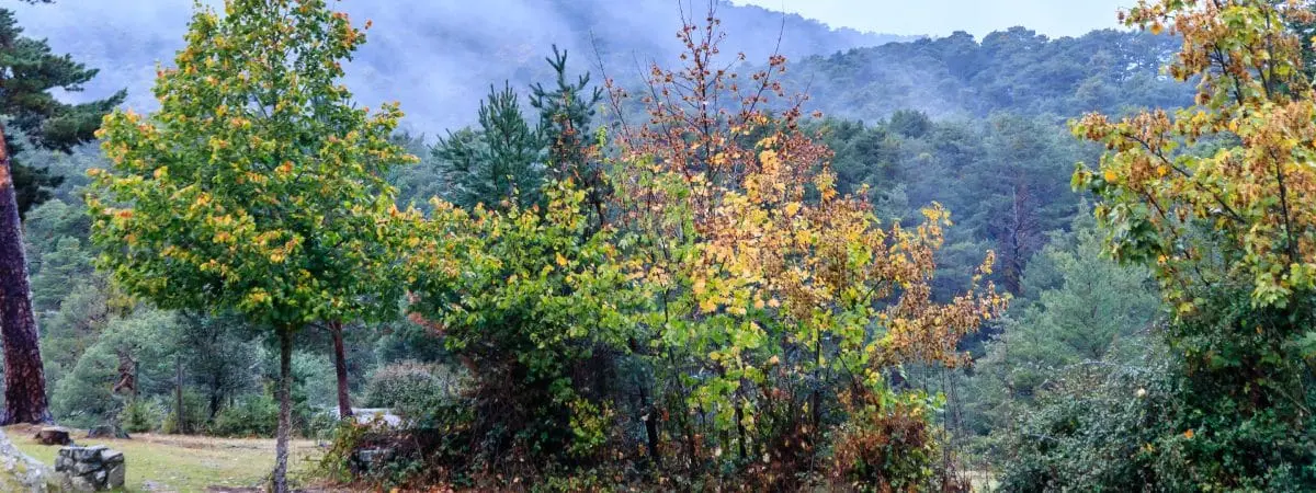 guadarrama