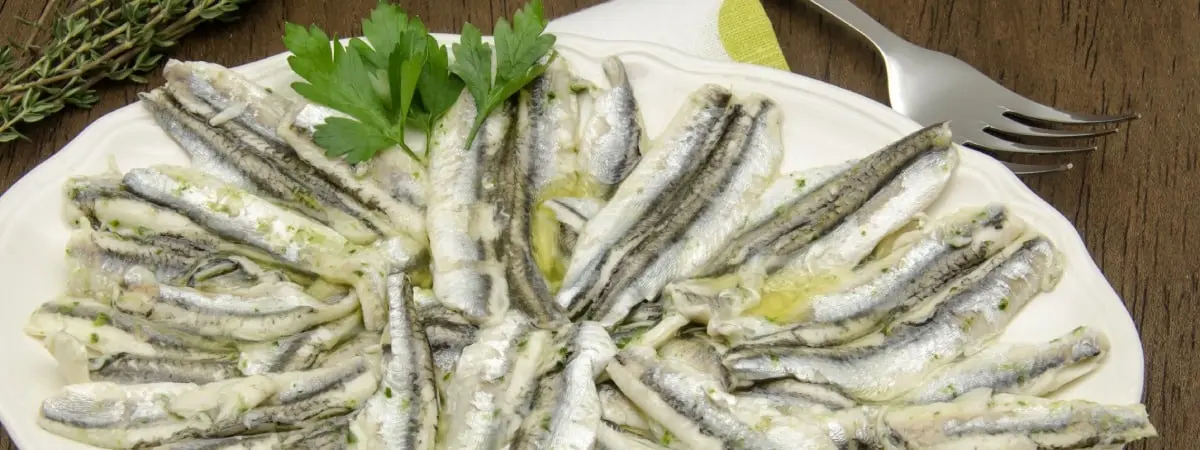 anchovies vinegar
