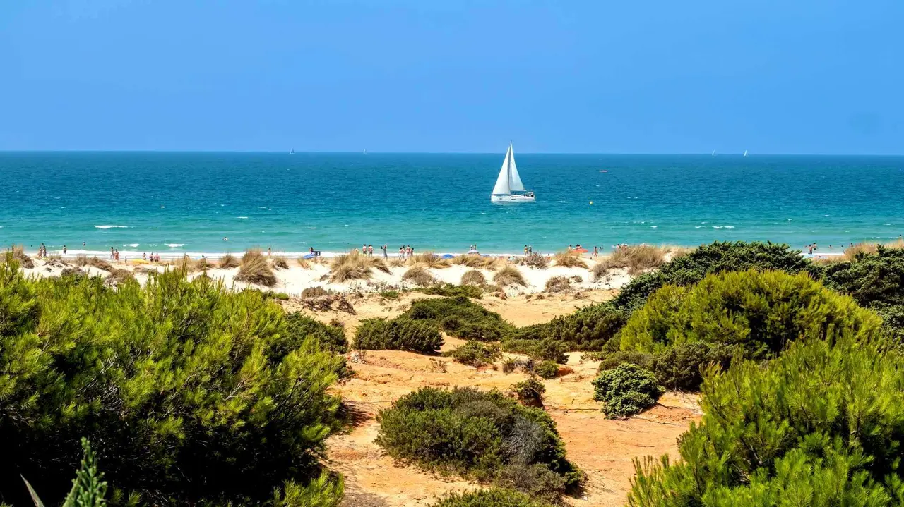 Barrosa Beach in the province of C&aacute;diz. | Shutterstock