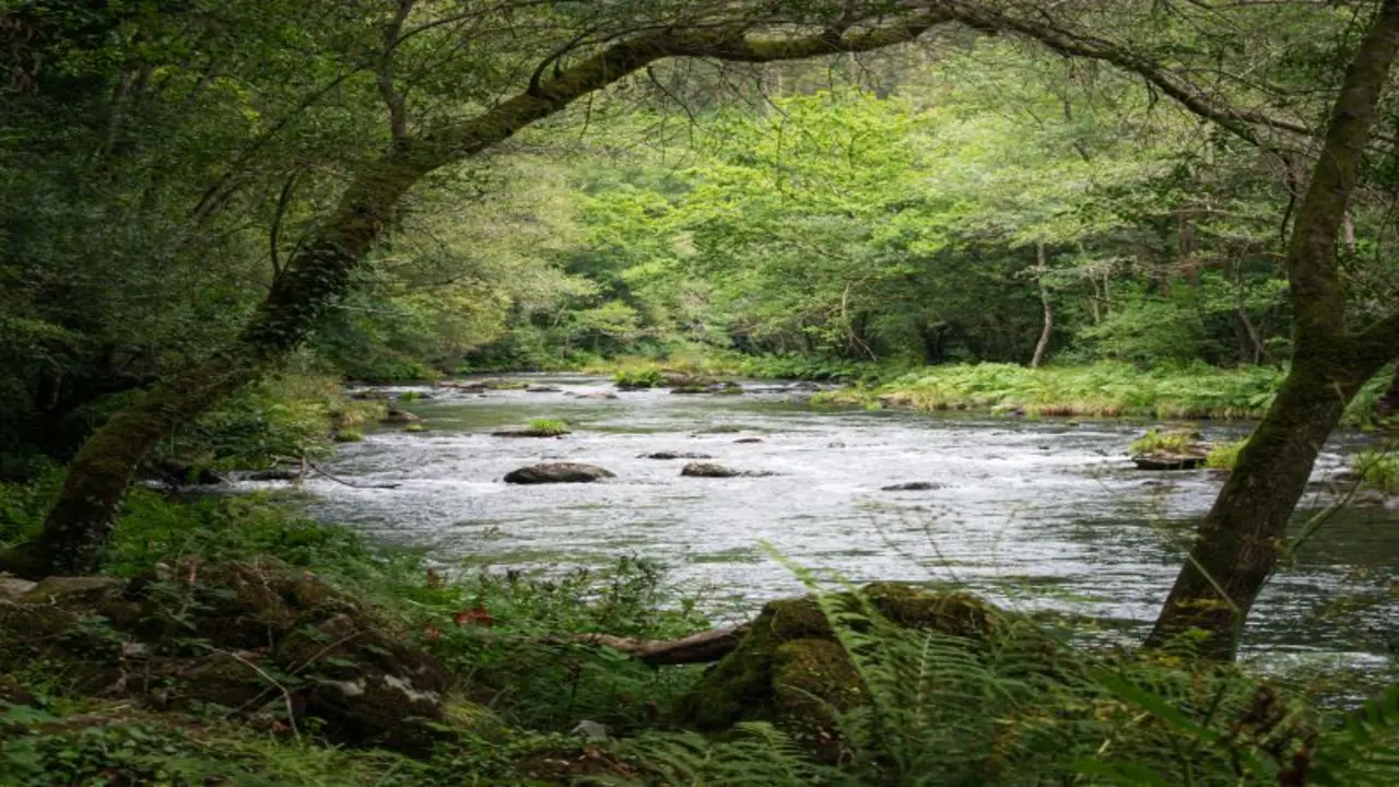 View of the river in Fragas do Eume, Galicia. | Shutterstock