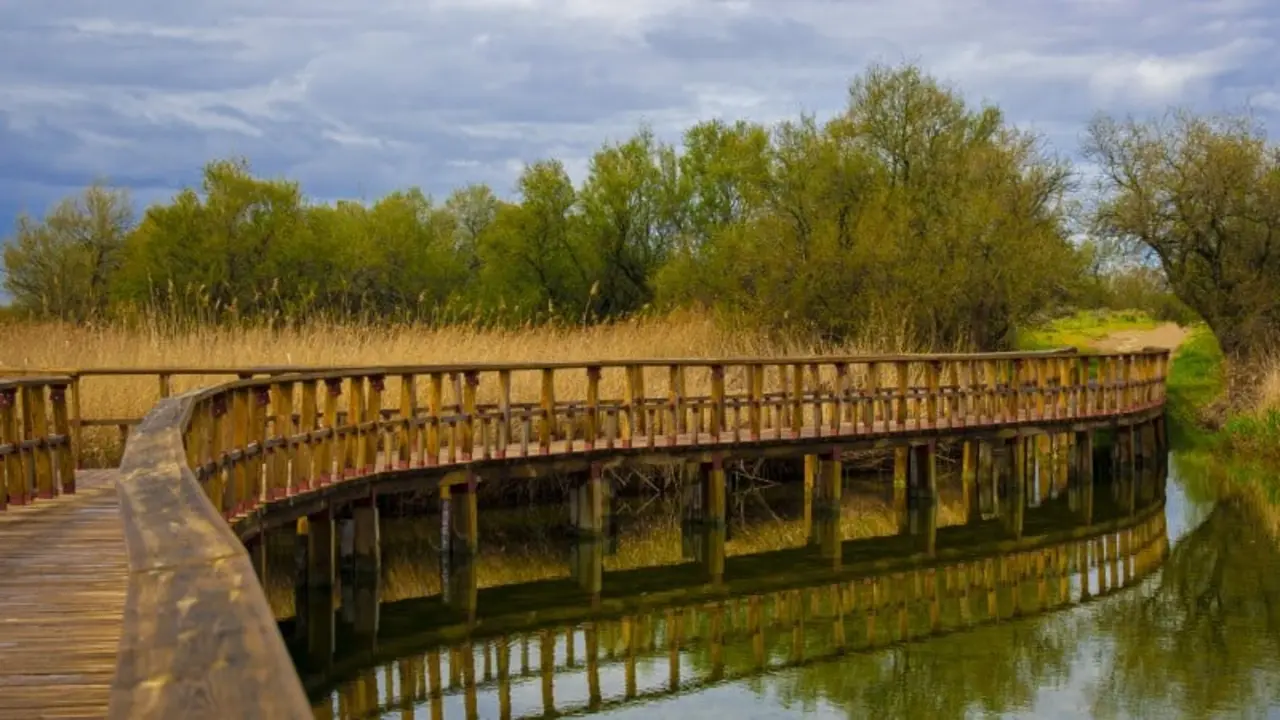 tablas de daimiel