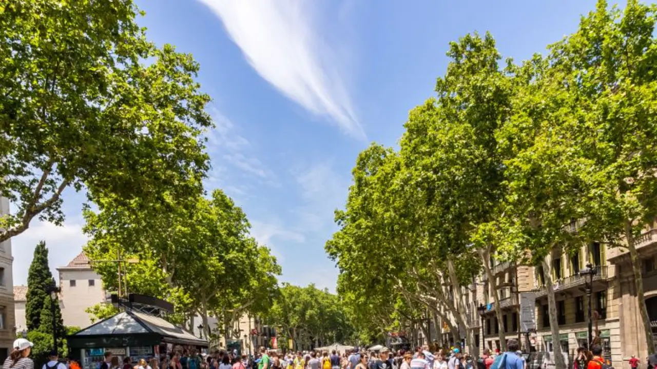 Las Ramblas