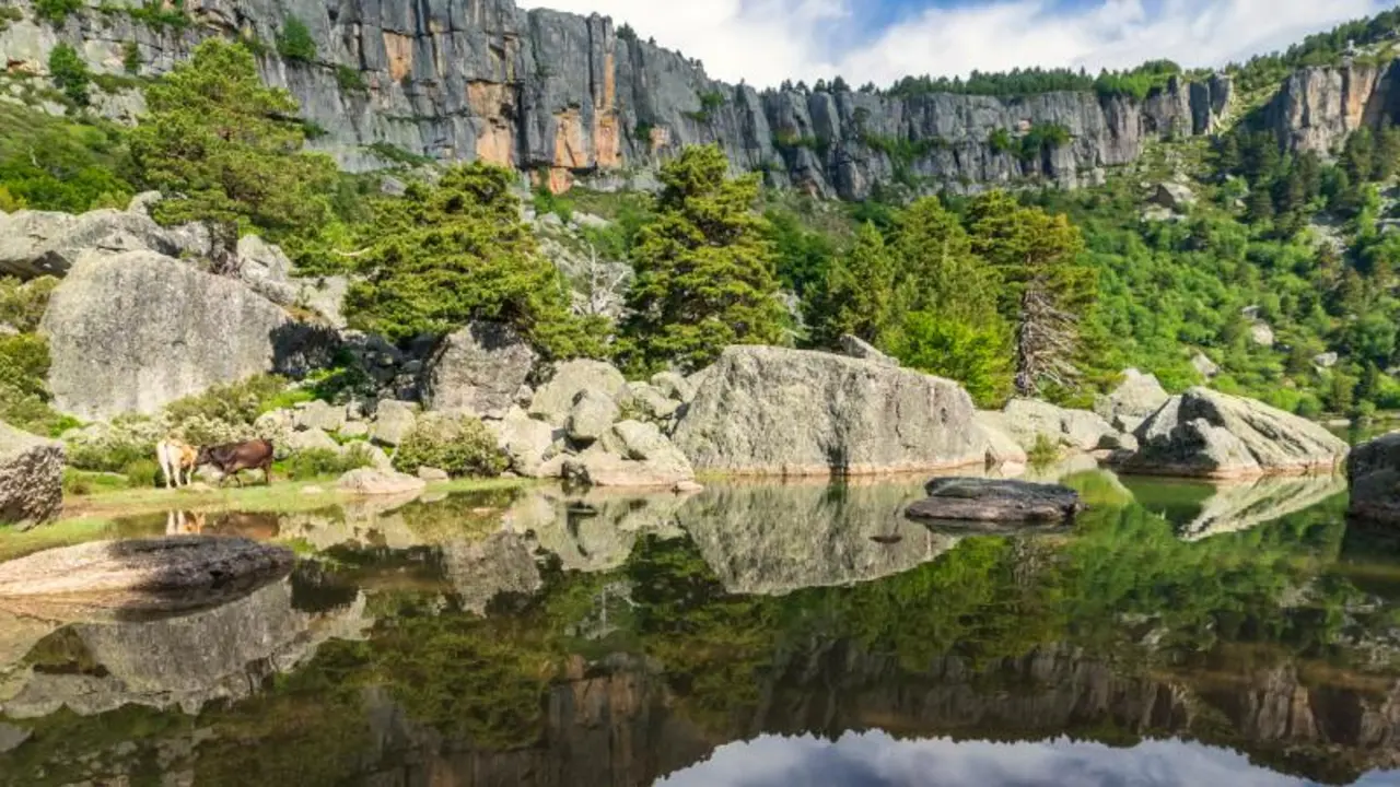 laguna negra