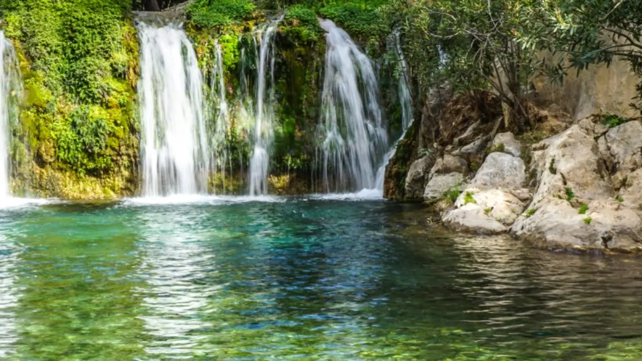algar