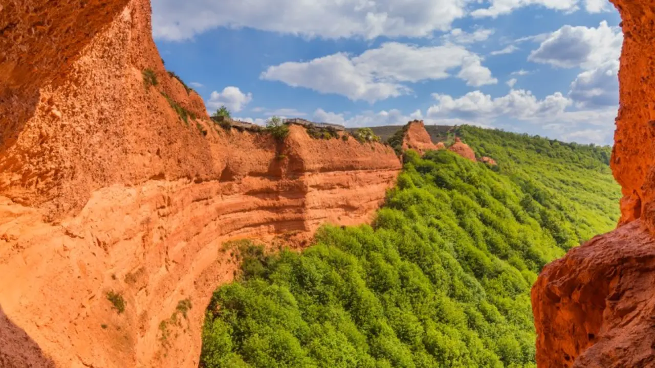 las m&eacute;dulas