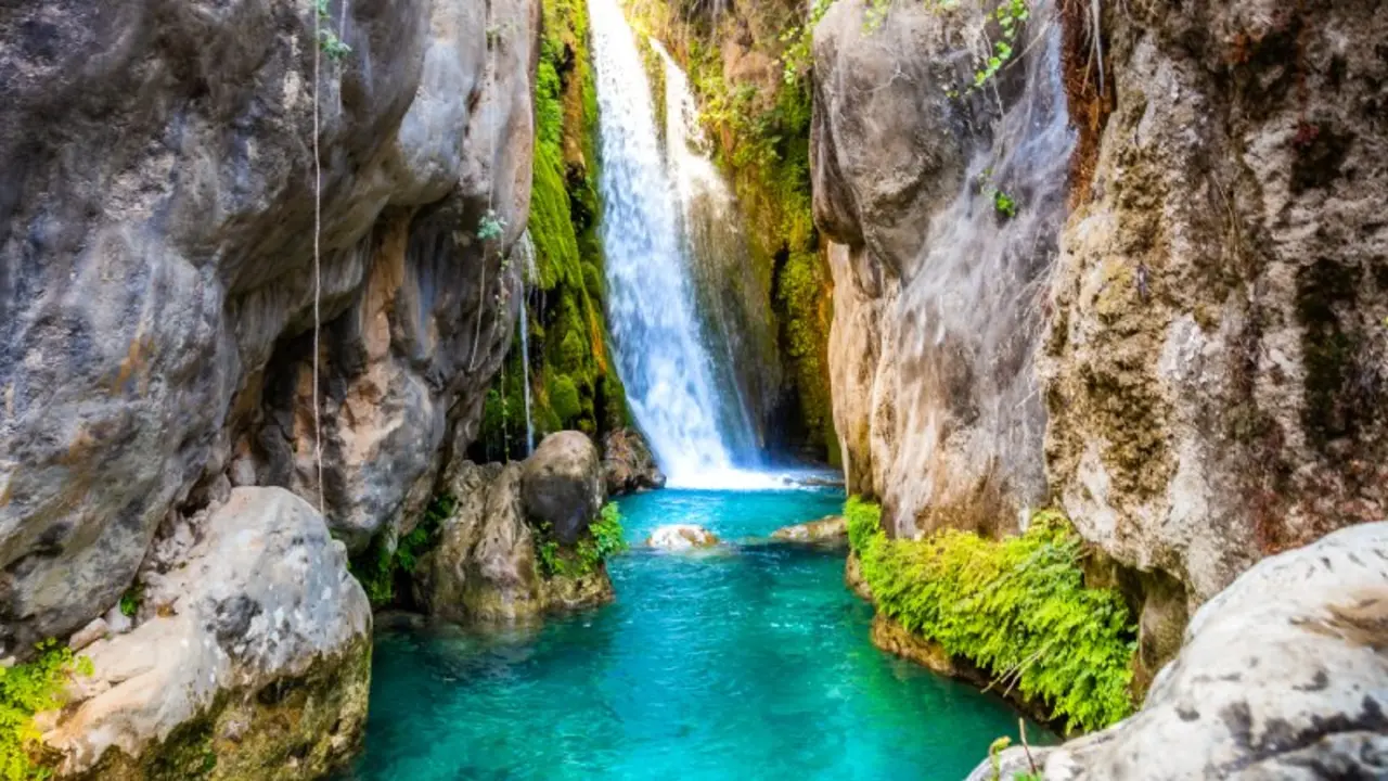 algar