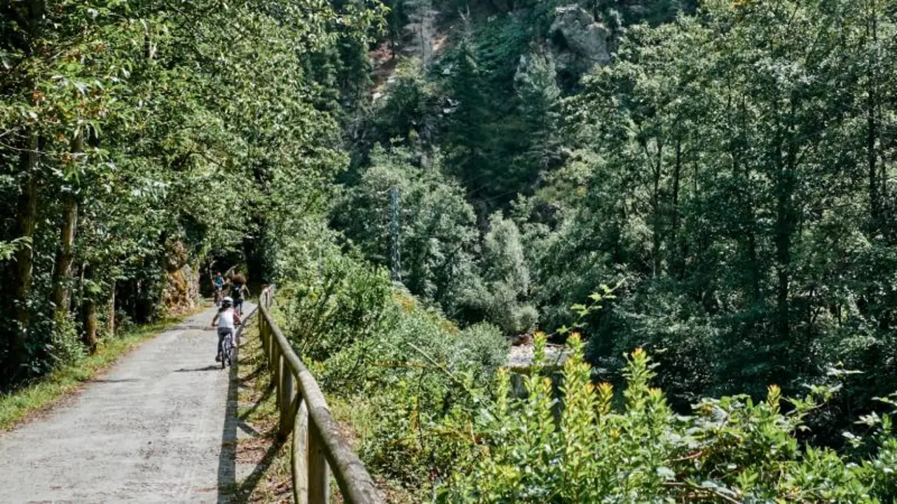 Bear Path