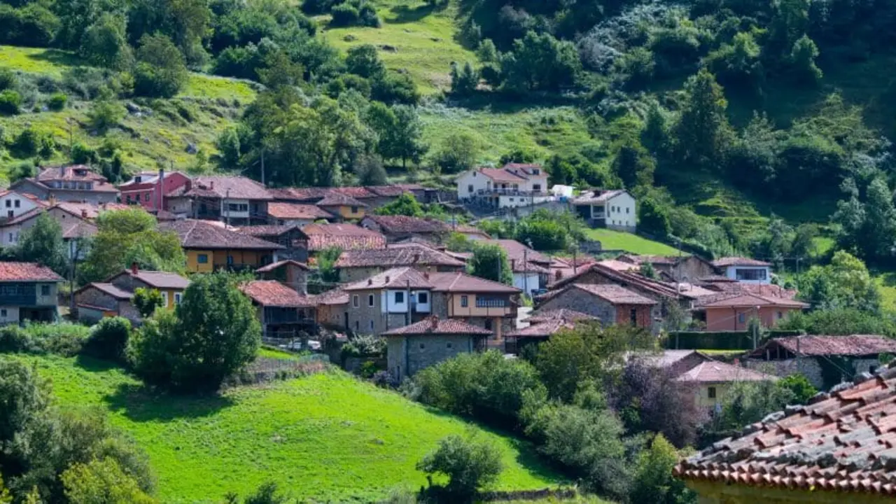 bermiego