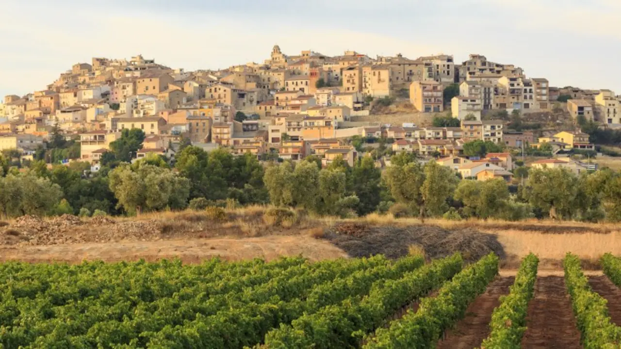 horta de sant joan