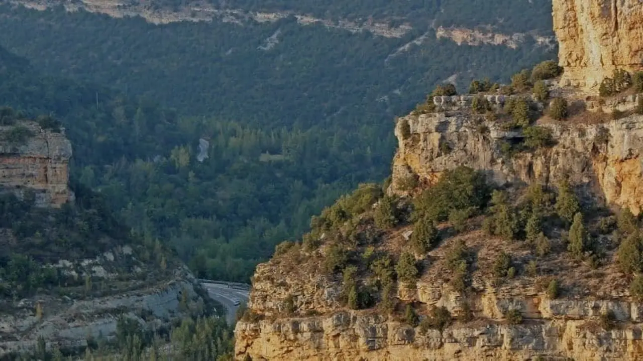 dream road