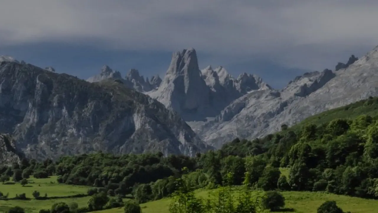 naranjo de bulnes