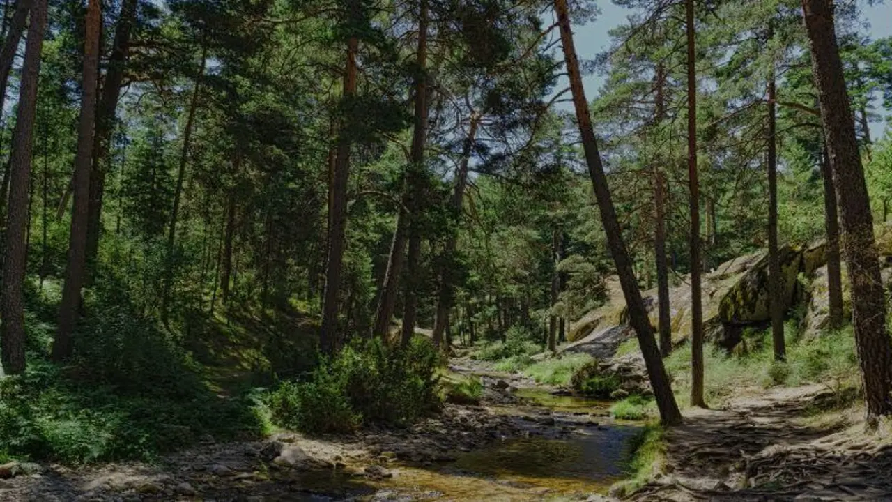 valsa&iacute;n mountains