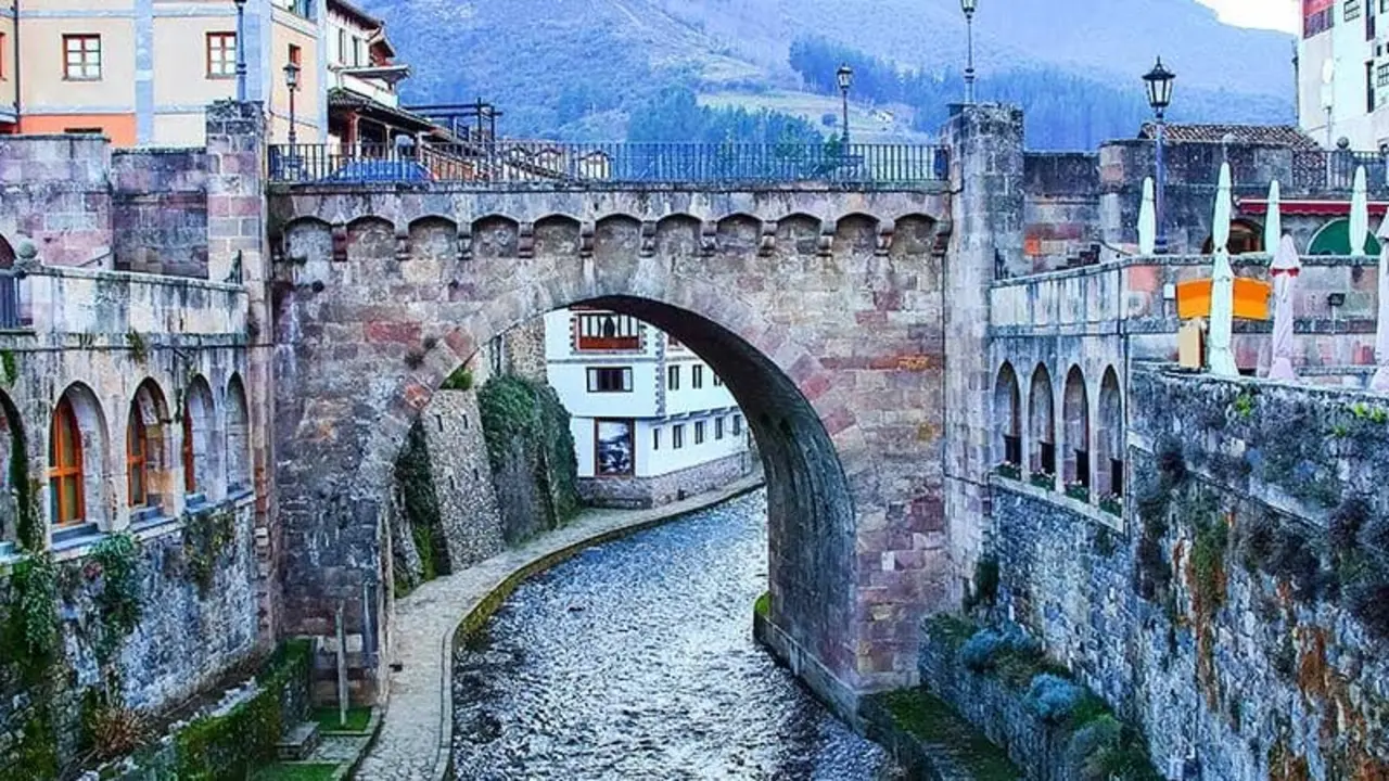 winter potes