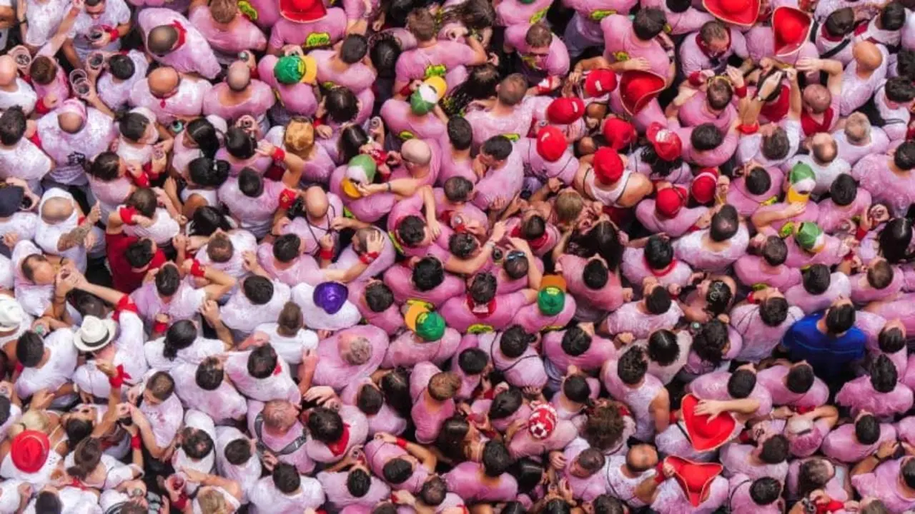 wine battle festivals