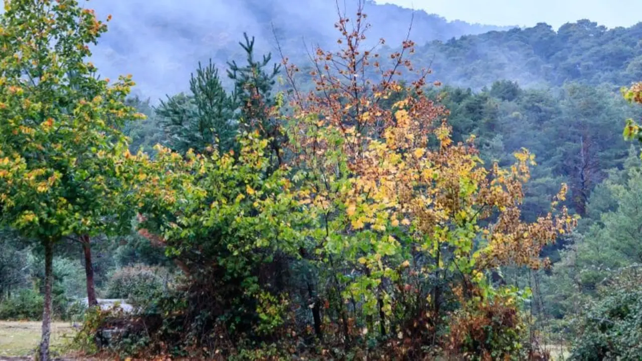 guadarrama