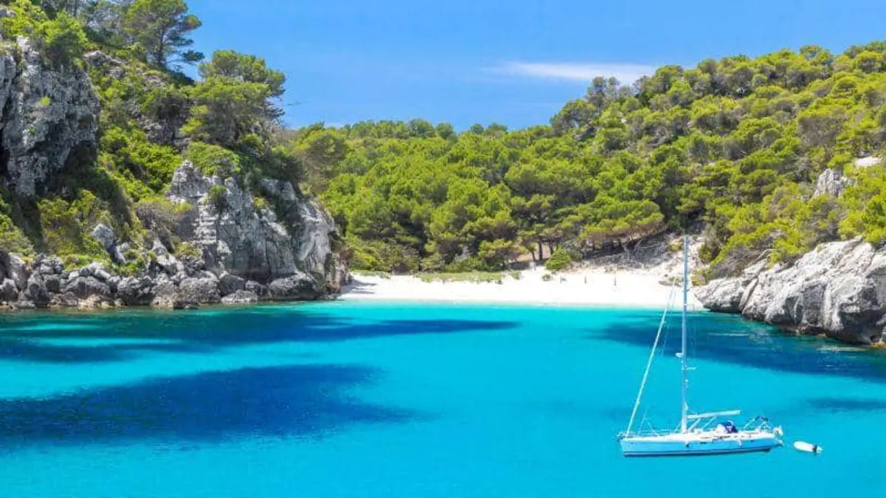 Cove Macarelleta