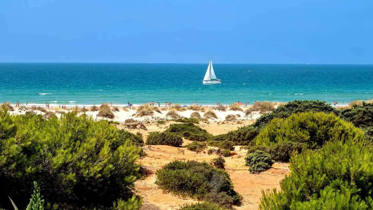 Barrosa Beach in the province of C&aacute;diz. | Shutterstock