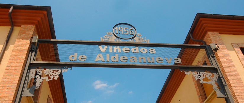 imagen_blog_viajes_bodegas-ribera-ebro_aldeanueva