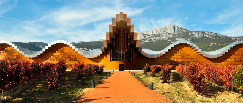 imagen_blog_viajes_bodegas-ribera-ebro_ysios