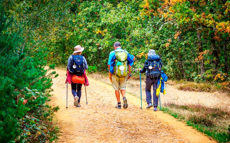 camino de santiago en grupo