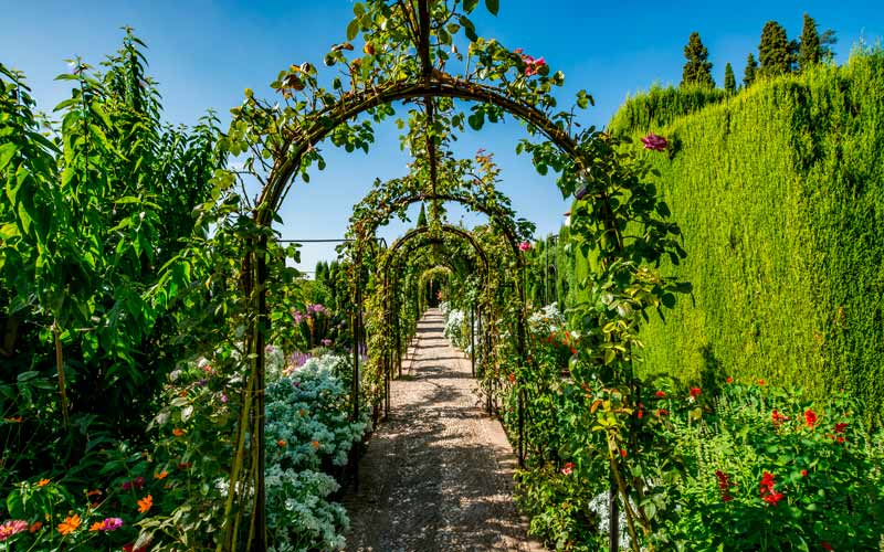 The gardens of Generalife