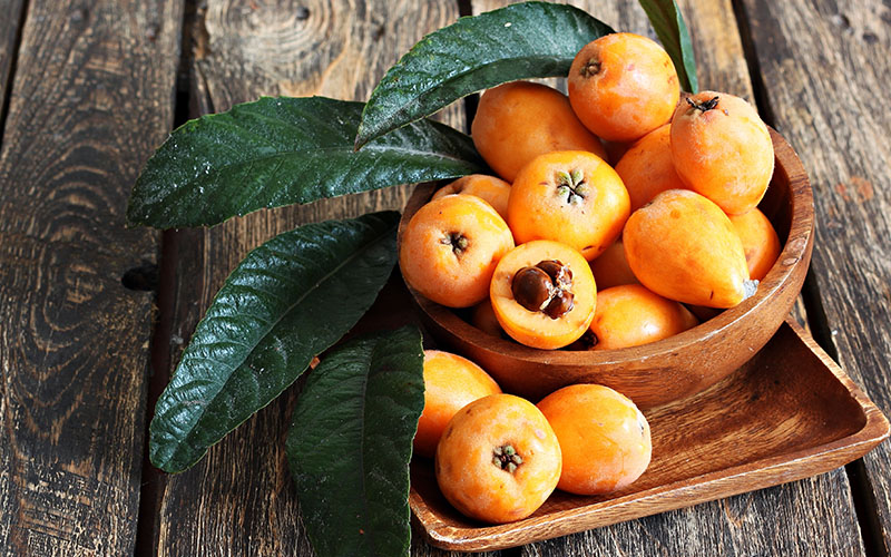 Benefits and properties of loquat