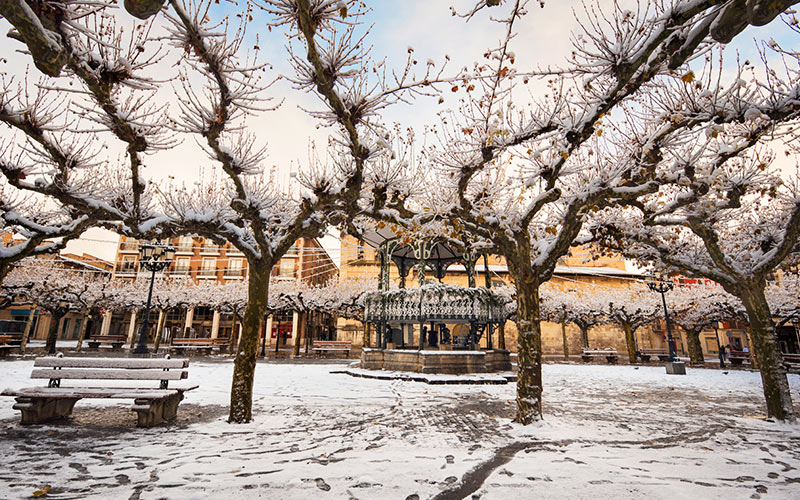 Fairy-Tale Spanish Towns to Visit at Christmas: Briviesca