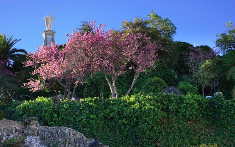 eñón del Sagrado Corazón y Plaza Andalucía de olvera