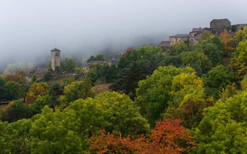 Día con niebla en Fanlo