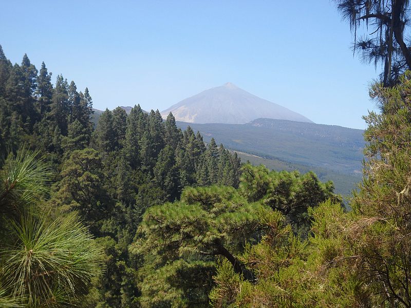 La Orotava