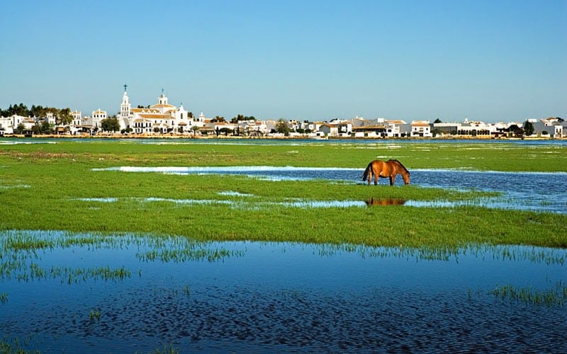 Doñana y Tartessos