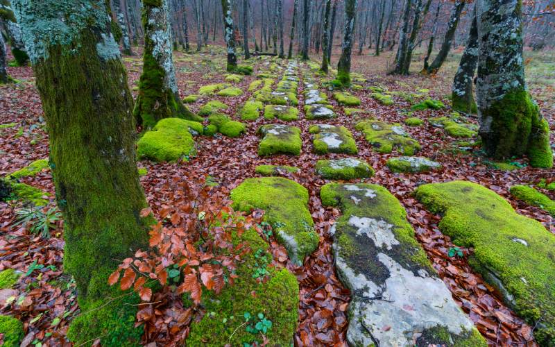 Sendas del Monte Santiago en otoño